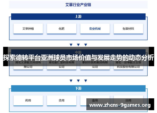 探索德转平台亚洲球员市场价值与发展走势的动态分析