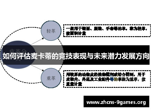 如何评估麦卡蒂的竞技表现与未来潜力发展方向